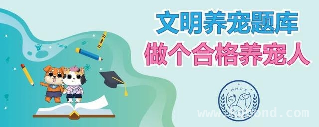3月22日，来“汪都模范生 文闵时刻”，让爱犬变模范！ 别错过！这场养宠盛宴带你解锁文明养宠新姿势