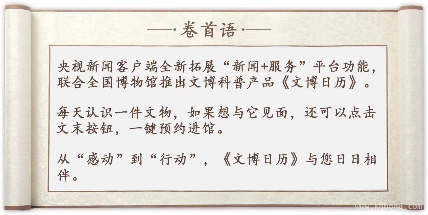 跟着我们，去赴一场玉兰的春日盛宴，春分邂逅玉兰，开启浪漫春日之旅