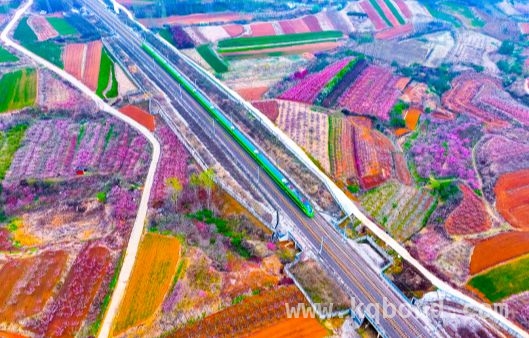 王台街道：产业治理双驱动，城乡融合新跨越