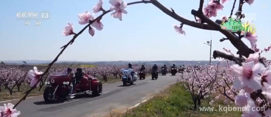 从桃花到油菜花，农文旅融合的致富密码