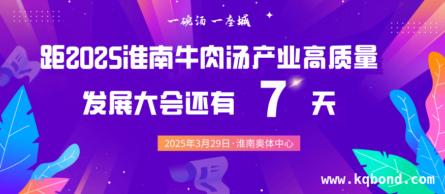 淮南牛肉汤：跨越时空，走向世界的美味传奇，淮南牛肉汤：以文化为翼，翱翔国际美食天空