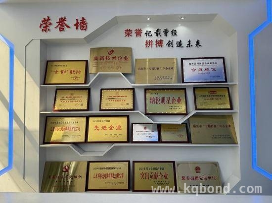 沂河新区“五金之乡”：产业链党委引领企业腾飞，凤凰岭“五金之乡”：产业链党委助力产业崛起