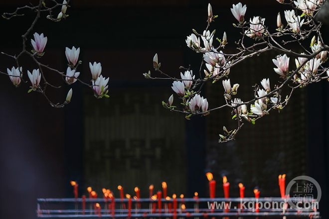 4. 用镜头记录春天！上游新闻“春色”摄影展诚邀投稿 3. “春色”摄影盛宴开启，共赴春日诗意之约