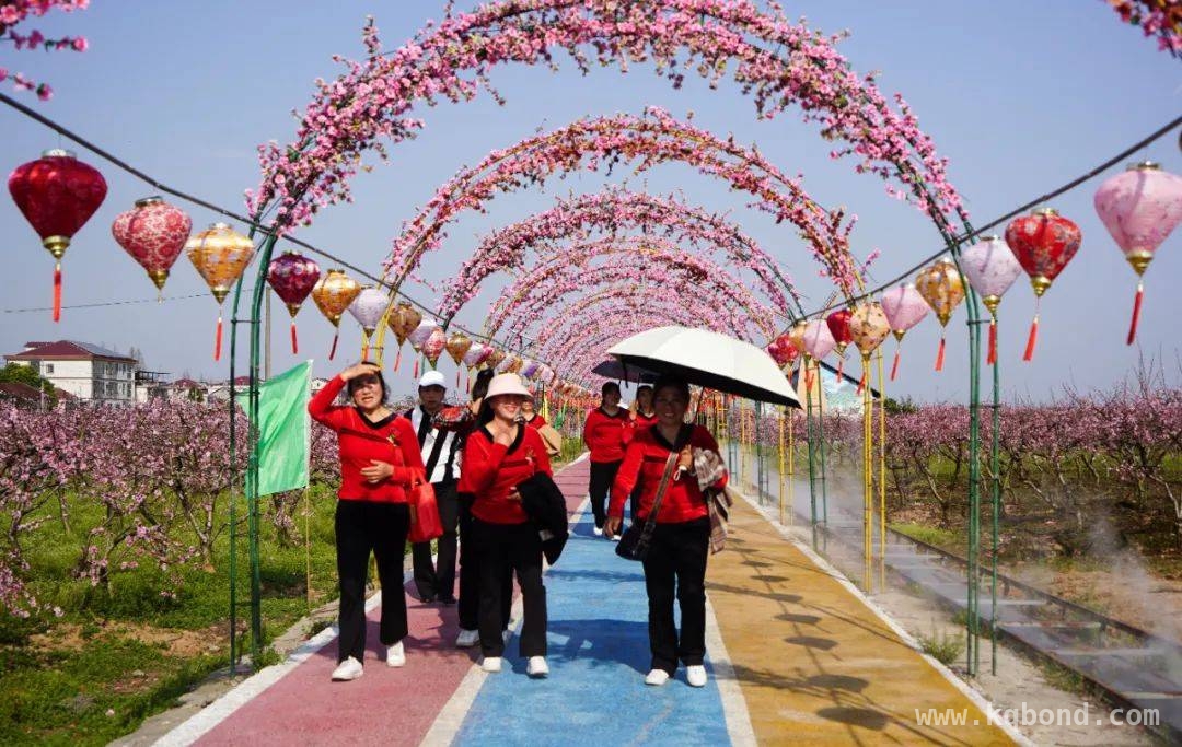 春日西湖，金色桃海文旅节奏响视听华章 西湖管理区第二届春季文旅节，桃花丛中好戏连台