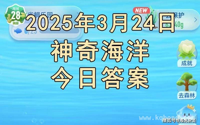 从蚂蚁森林问答看大海潮起潮落的奥秘，潮汐现象大揭秘：月球、地球和太阳的引力“较量”