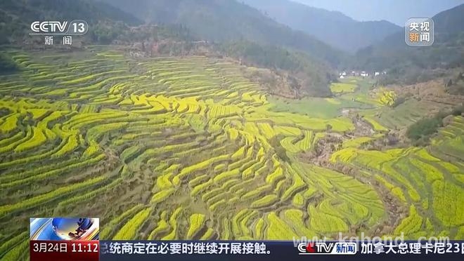 清明出游大揭秘：赏花踏青与文化民俗体验齐飞 清明假期旅游盛宴：赏花、民俗体验与周边游的狂欢