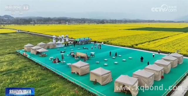 缤纷花海，各地赏花游奏响春日乐章，春日赏花盛宴，多地打造特色旅游新体验