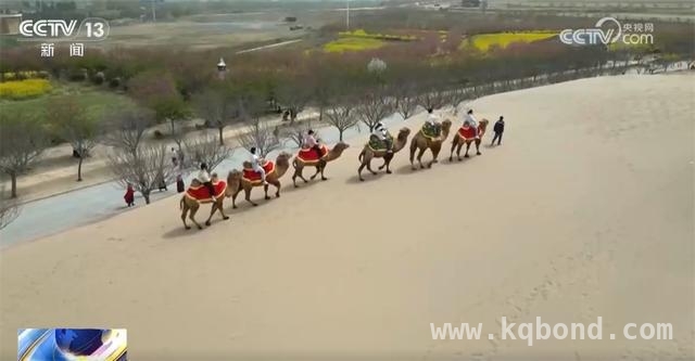 缤纷花海，各地赏花游奏响春日乐章，春日赏花盛宴，多地打造特色旅游新体验