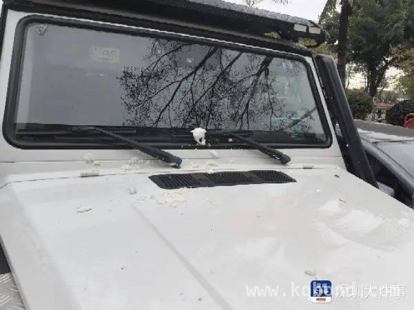 纸团引发7000元赔偿，高空抛物需全民警惕！