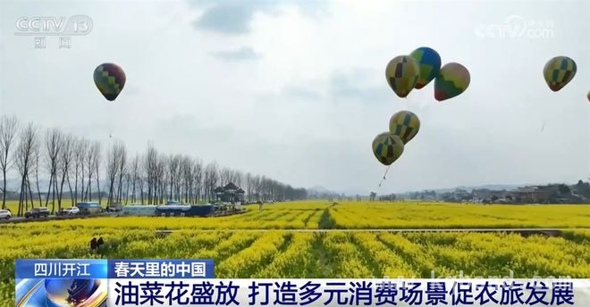 缤纷花海，多地以花为媒激活乡村旅游新活力，春日赏花地图：从河南到湖北，领略不同花景之美