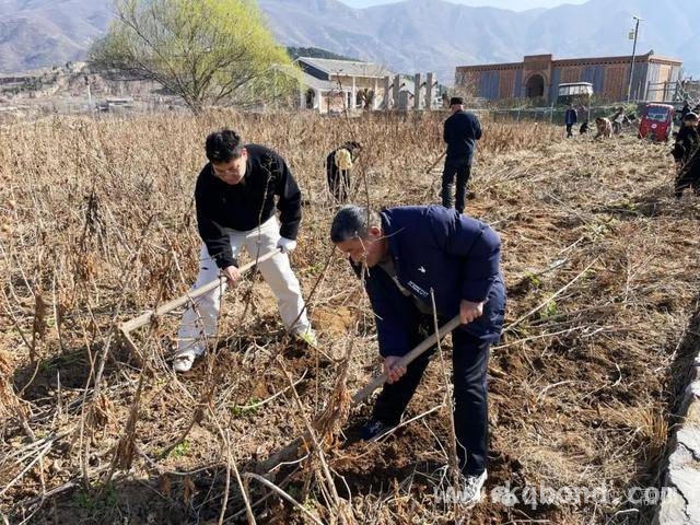 探秘涉村镇大南沟村：玄参种植开启致富新大门，涉村镇大南沟村：玄参种植引领乡村振兴之路