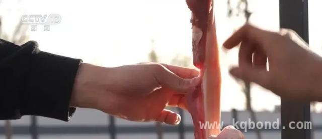 春日风筝虽美，“隐形利刃”伤人需警惕 揭秘风筝线威力，掌握安全放风筝秘诀