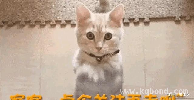 从蔡磊抗争到京东AI布局，希望之光在闪耀 蔡磊：渐冻人生的不屈抗争与京东AI新局