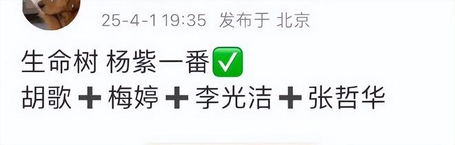 杨紫：低调努力，活成“第二个刘亦菲”！，杨紫：从邻家妹妹到剧坛女王，冲击白玉兰奖！