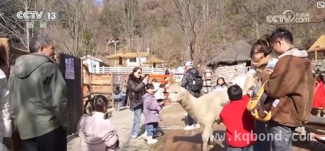 清明赏花游火爆，文旅消费掀热潮